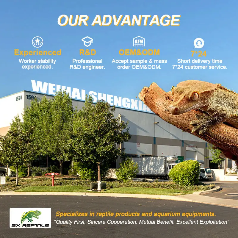 Wholesale Heat Lamp Uva Uvb Reptiles Light Mercury Lamp Basking UVB Reptile Light Bulbs Mercury Vapor Lamp For Chameleon