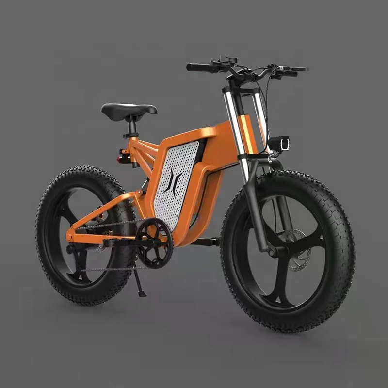 Lithium battery electric bicycle REALMAX MA-20 electric dirt bike adult 1000w 48V electric bicycle for sale