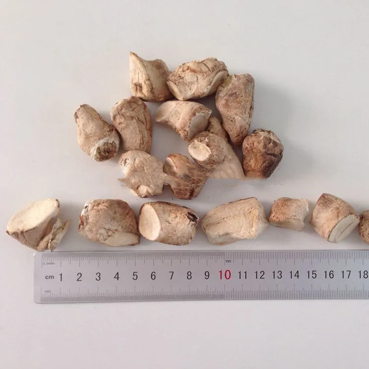 GT001X Dehydrated Mushroom Stem