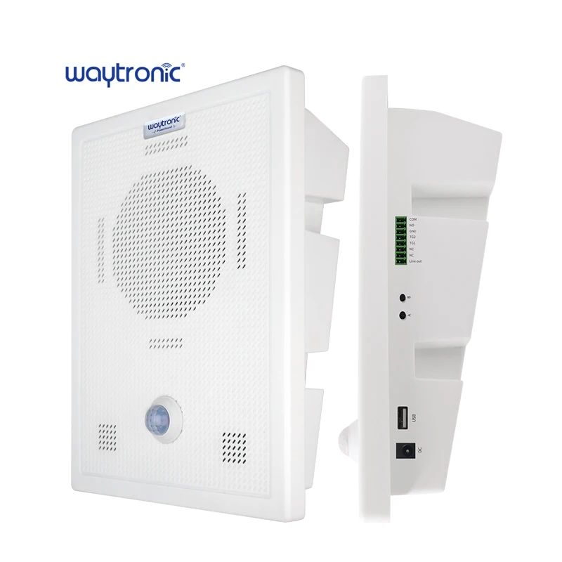 Professional High Decibel 110DB Sound Alarm Indoor PIR Motion Sensor Audio Warning Siren Speaker with USB Change Mp3 Audio