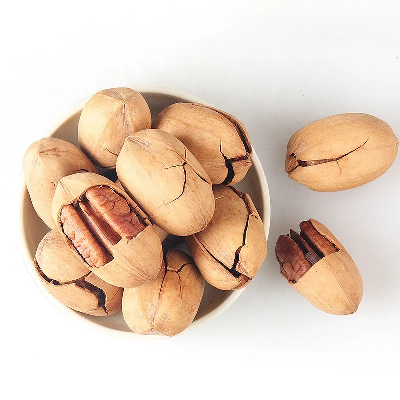 Raw Roasted Baked Salted Pecan Nuts with Shell Bags For Sale At Best Prices