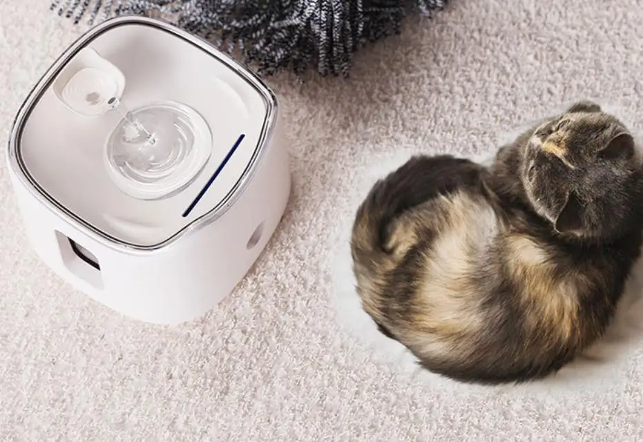 pet drink water dispenser fountain 2024 New arrival hot sale quiet Easy clean double barrel cat water fountain