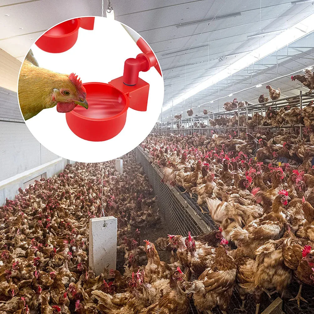 Набор из 6 автоматических чашек для воды цыплят чаша питья поилка пластиковый практичный держатель курицы