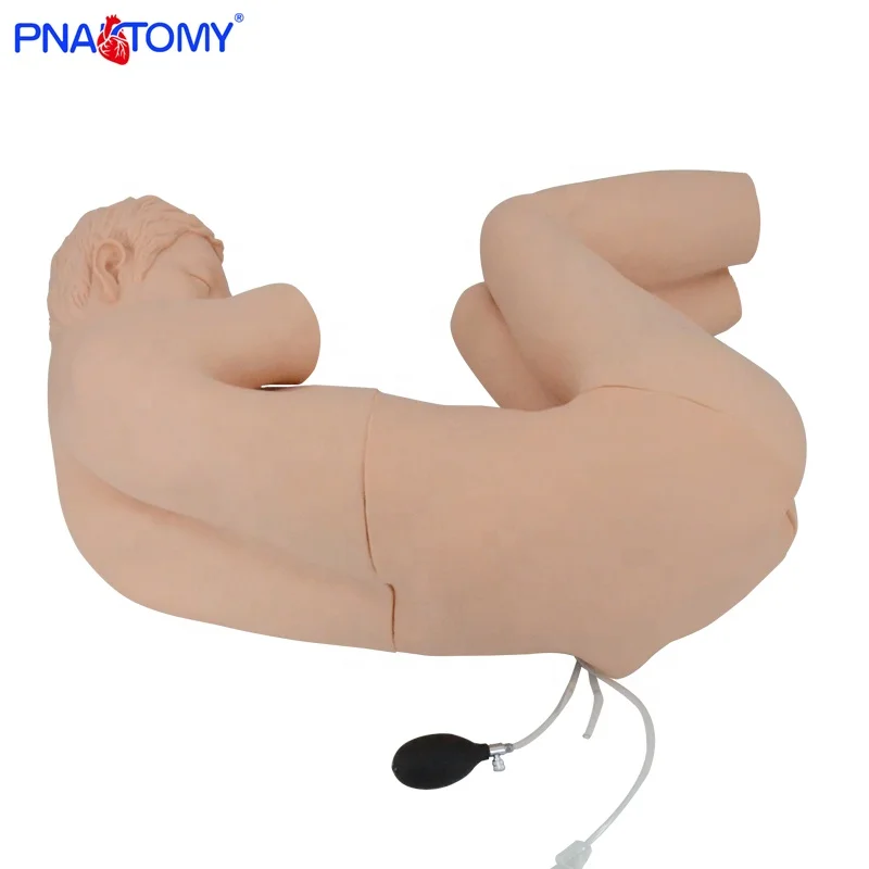 Эпидуральной анестезии manikine Поясничный с защитой от проколов модель PNT-TC03