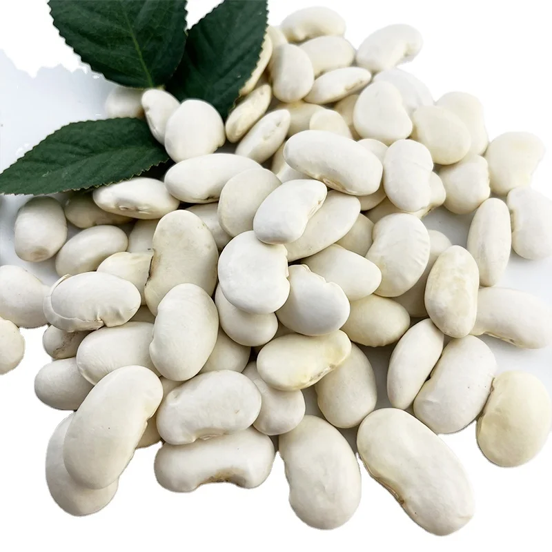 100% organic Natural Agriculture Product Large White Kidney Beans Raw Dry White Beans