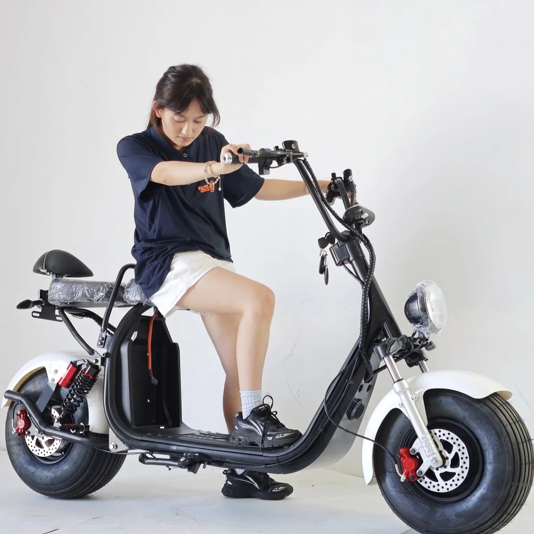 Hot Selling EEC COC Citycoco Electric Scooter 1500W 2000W EU Stock Scooter Electric