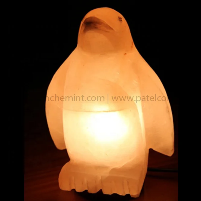 Himalayan Salt Animal with wooden engraving Crafted Lamps premium quality low price