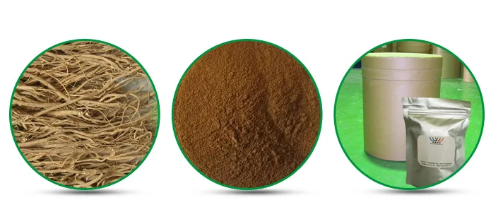 Chinese Medicine Herb Astragalus Extract Health supplement astragalus root extract Yellowish Fine Brown Powder