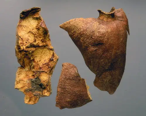 100% натуральный гранат фруктовый порошок жидкий