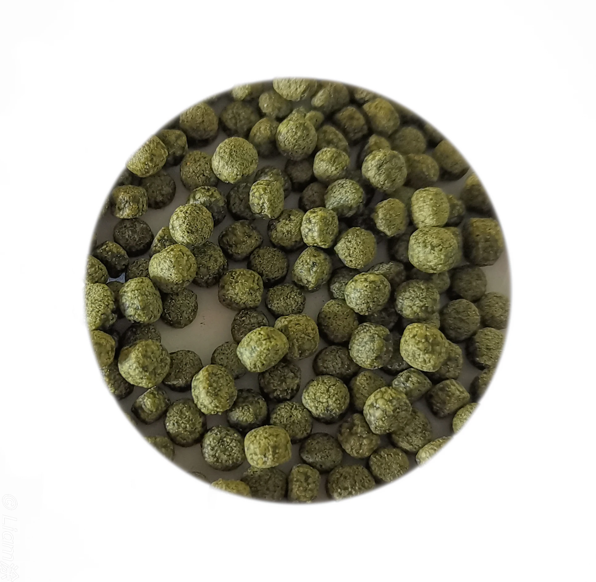 color spirulina pellets 