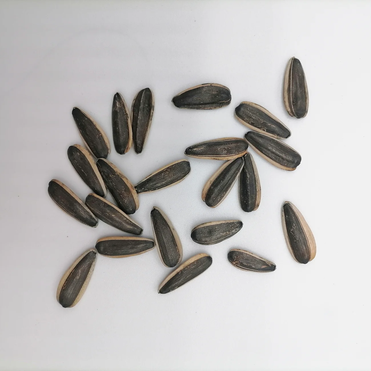 Chinese factory supply high quality 363 sunflower seeds 361 for