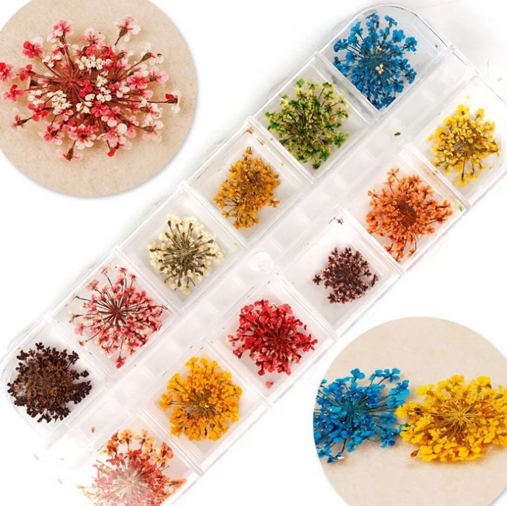 12 colors Nail Art 3D Dry Flower Natural Pressed Dried Lace Flowers Decoration For UV Gel