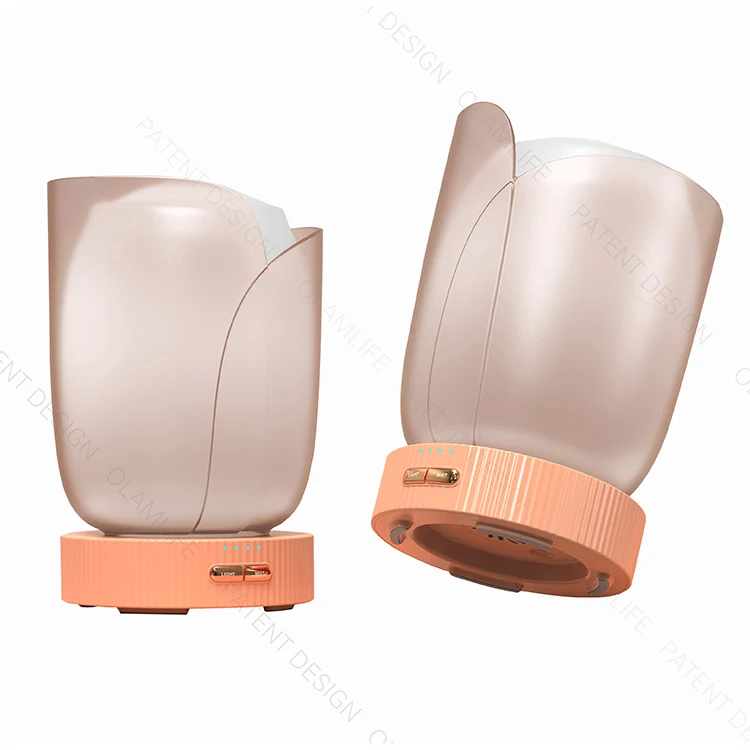 OLAM Manufacturer Custom Air Humidifier Humidifier Ultrasonic Essential Oil Aroma Diffuser