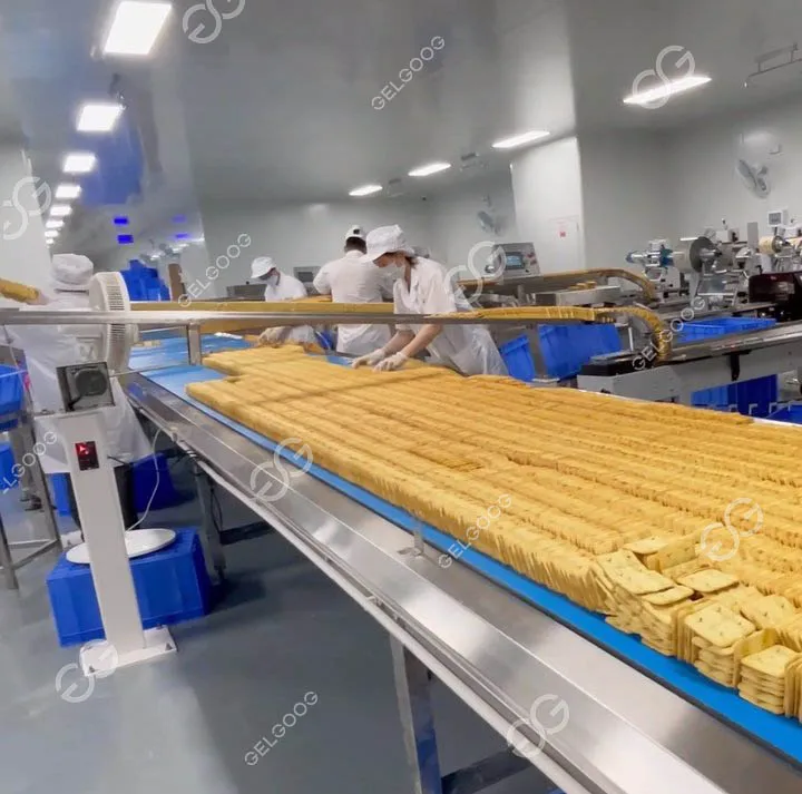 Manufacturing Plant Cookie Biscuit Moulding Pressing Machinery Chocolate Biscuit Making Machine