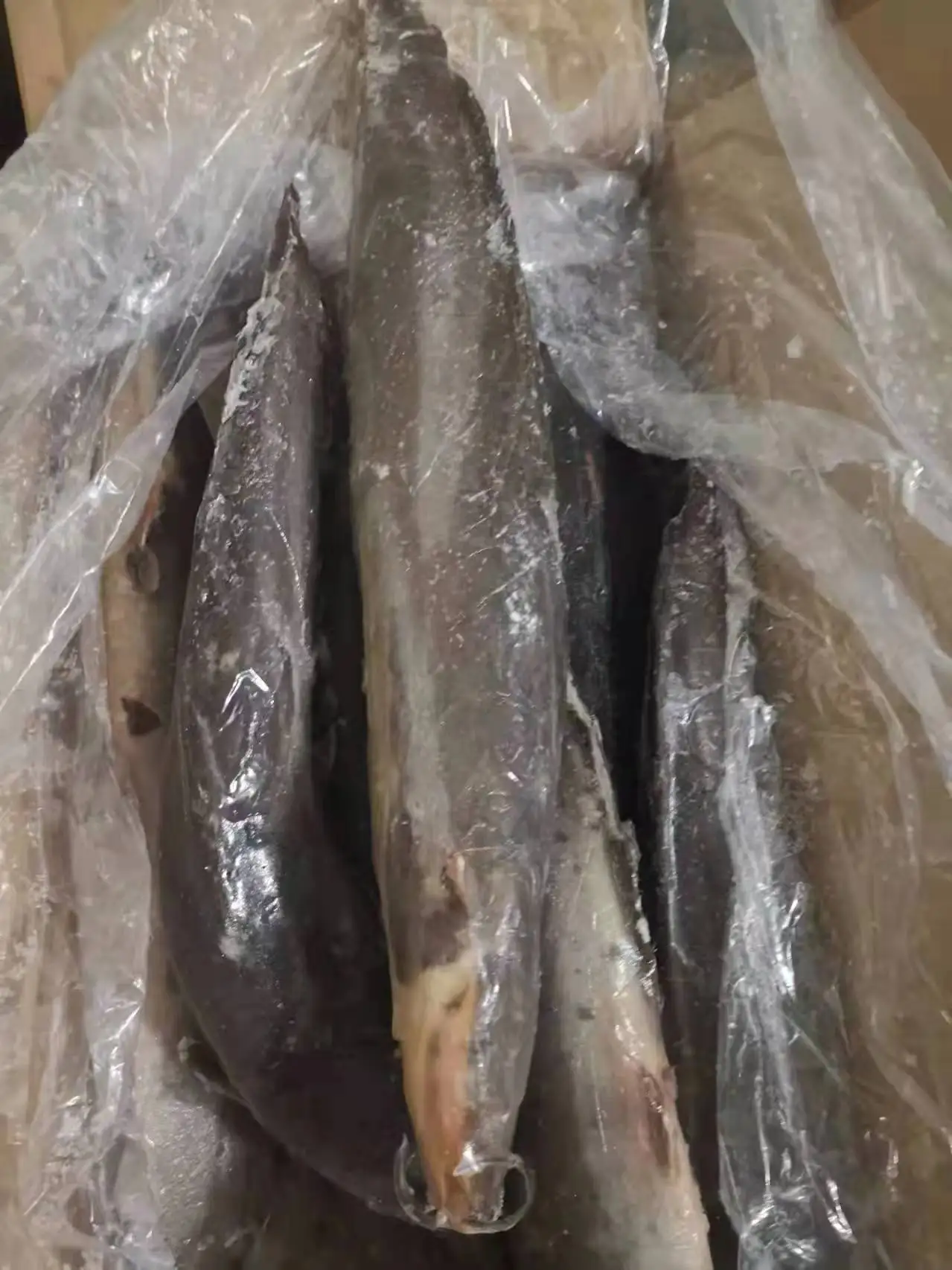 Дешевая цена замороженные сомы целые круглые китайские морепродукты на рынок Африки