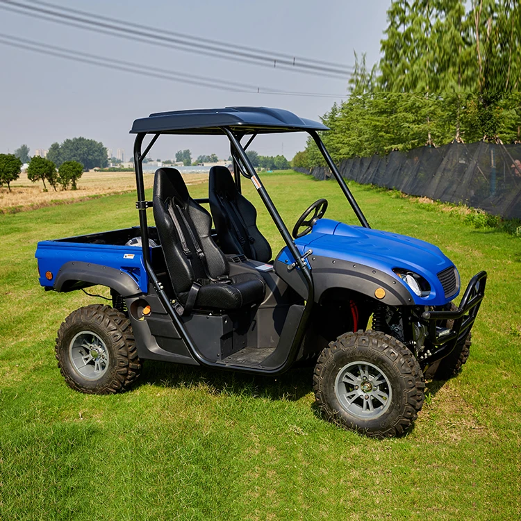 Hot Selling Electric Utv 2-Wheel Drive Utv Electric Car for Sale