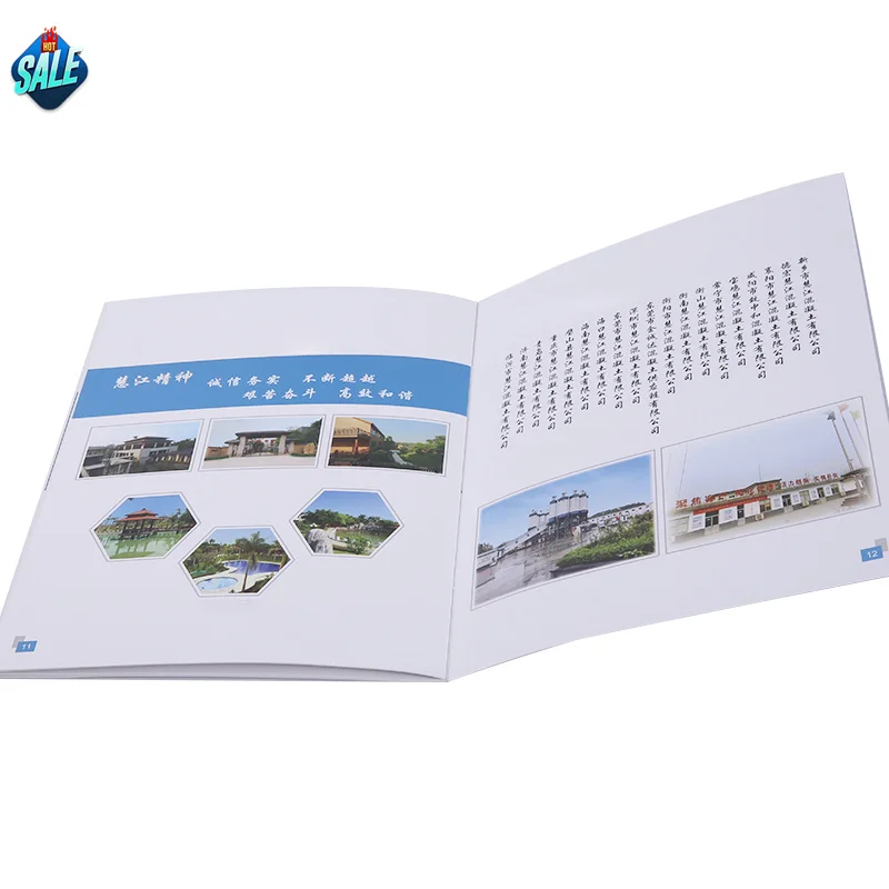 Custom Wholesale Printing A4 Paper Flyer/Brochure/Booklet Instruction Manual