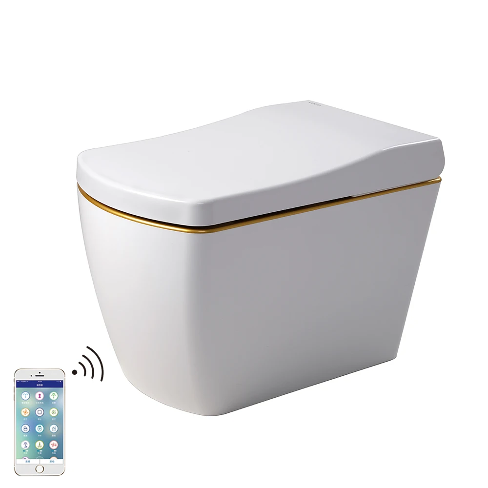 VOGO S310 one piece electric intelligent toilet with warm seat cover