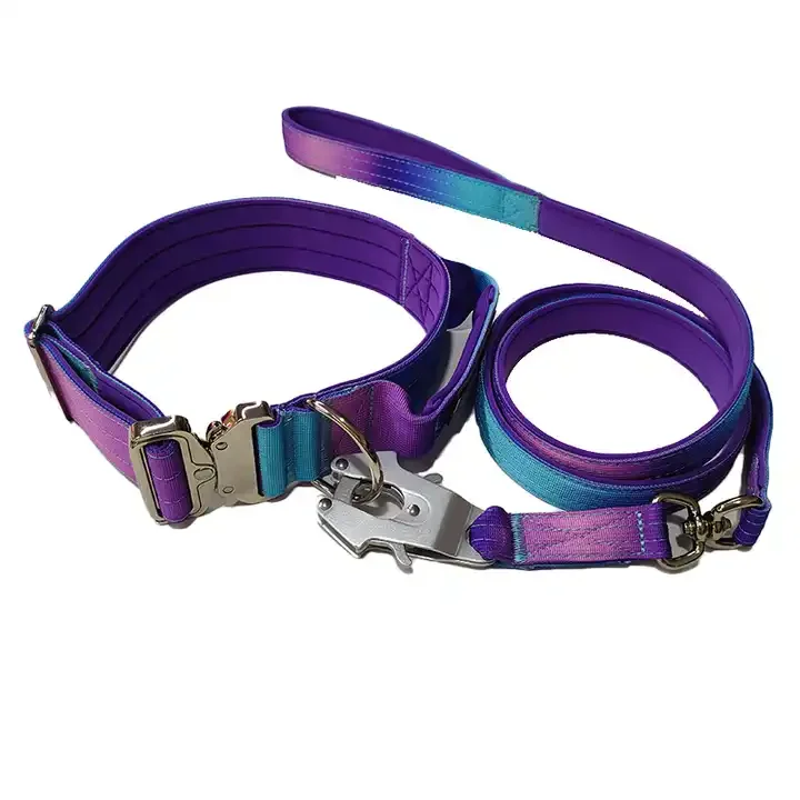 New Arrival High quality Adjustable Metal Buckle Nylon Tactical Dog Collar Suitable For Dog Training