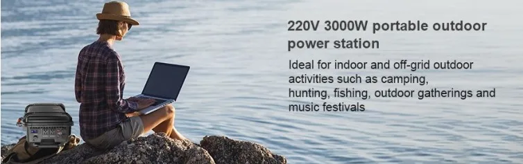 220V 3000W 232