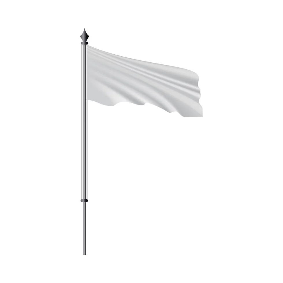 
Factory Price Stainless Steel Preservative Electric Flagpole for Decoration/National Flag 