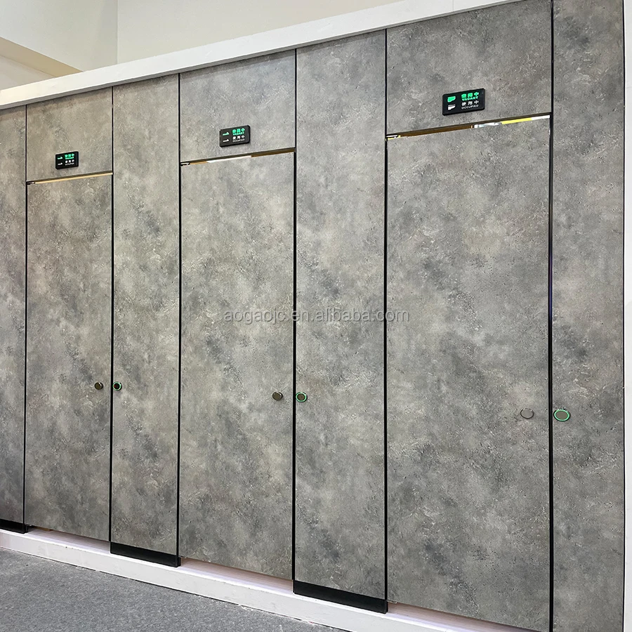 Foshan AOGAO Custom Smart Toilets With Led Light Toilet Partition Accessories