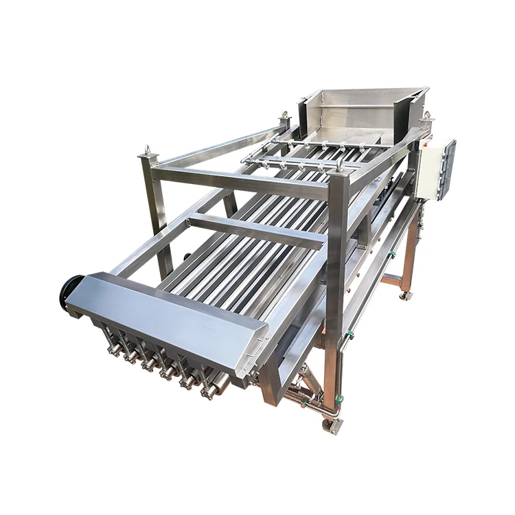 Fish Grading Machine