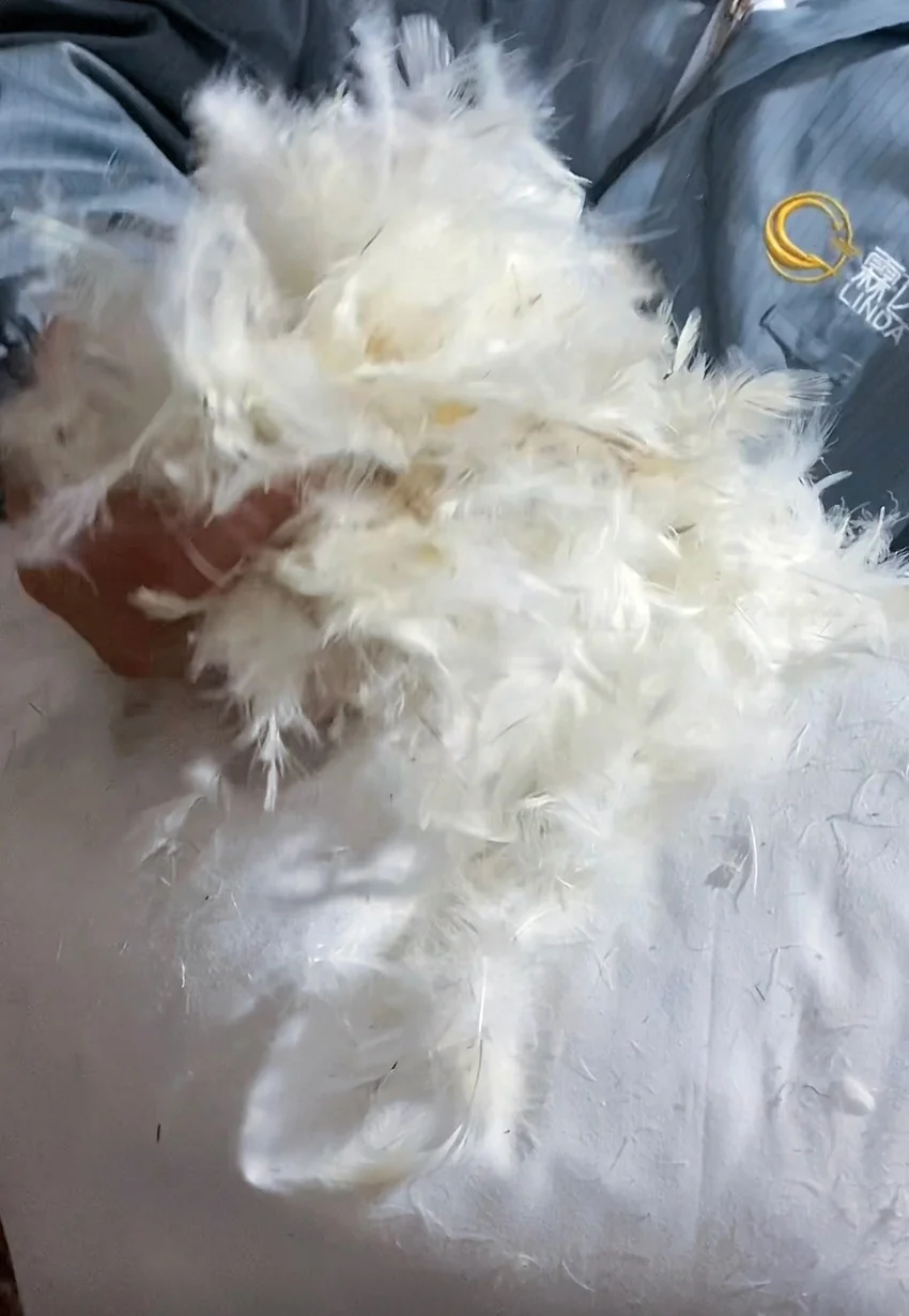 Reliable source manufacturers supply wholesale washed 90 white duck feather: no odor, large pure white