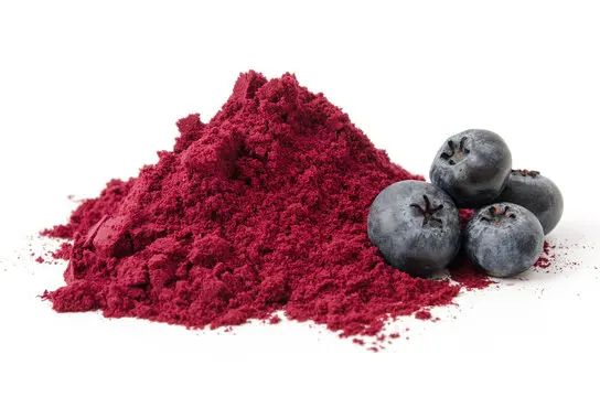 bilberry extract powder 25% 36%