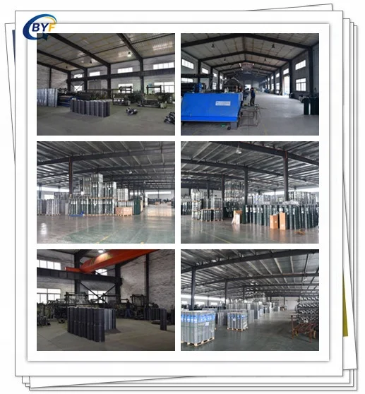 China Factory Galvanized Welded Wire Mesh For Garden