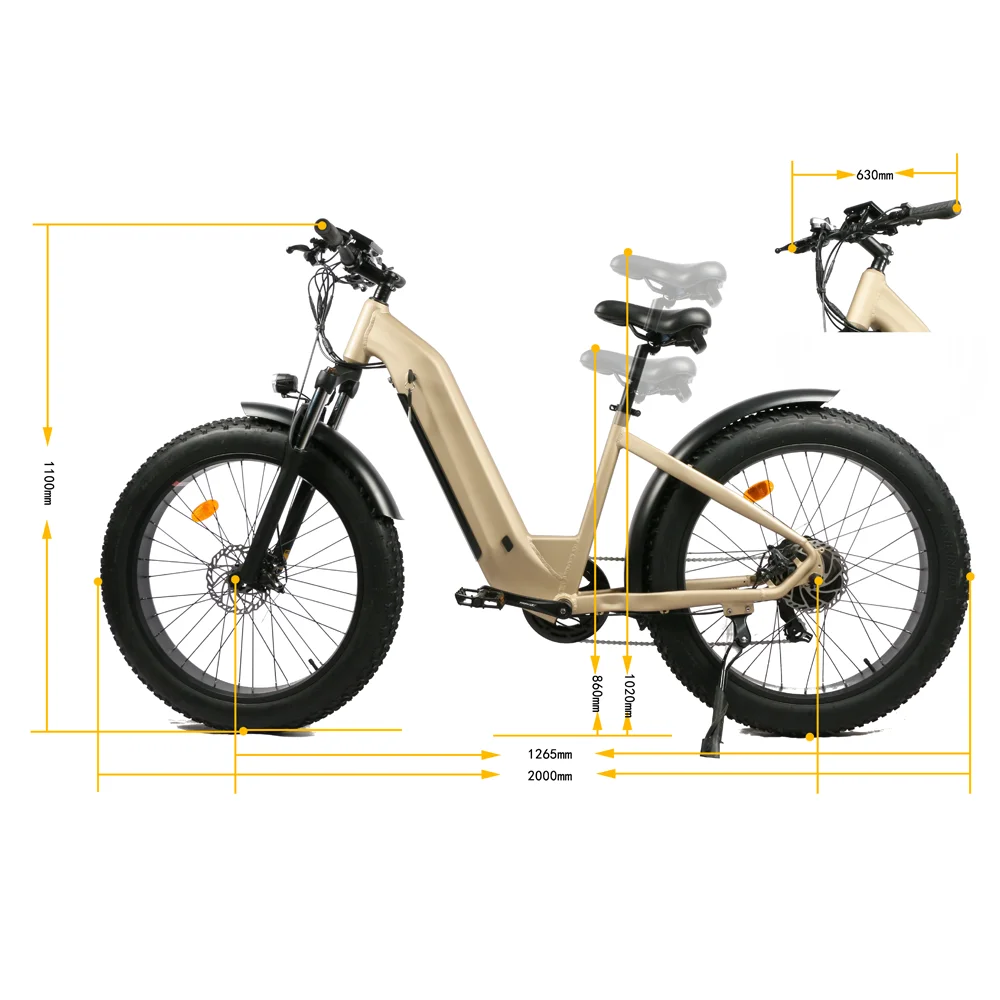 Emtb Retro Electric Hybrid Bike 750w E-Bike Road Dirt E Bike 48V Step Through Ebike Mountain  Off-road Fat Tire 1000w Ebike