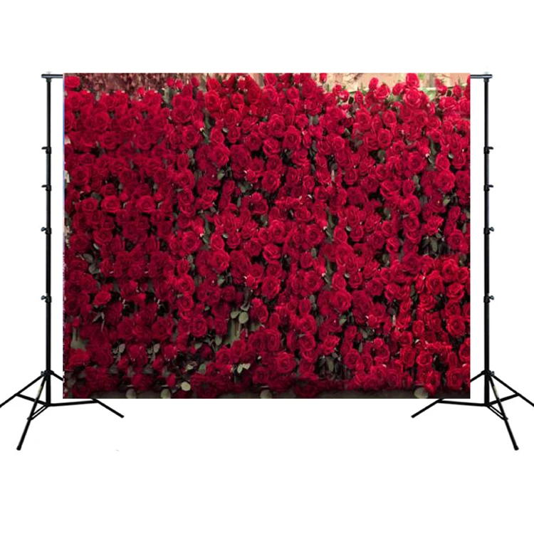 photo flower art photo background painting photography studio