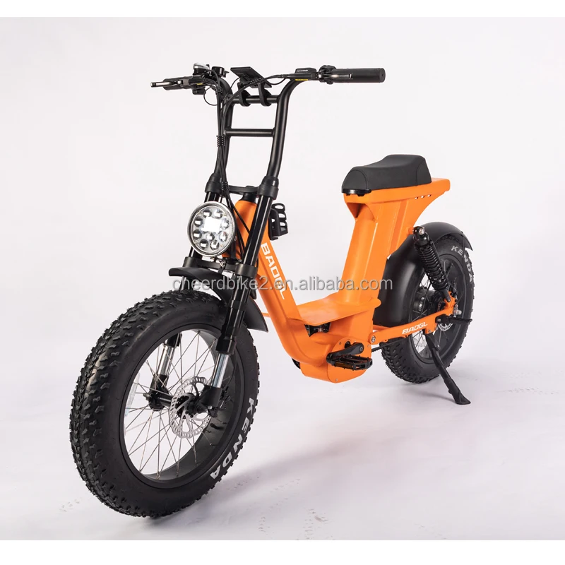 electric fatbike female 2.jpg