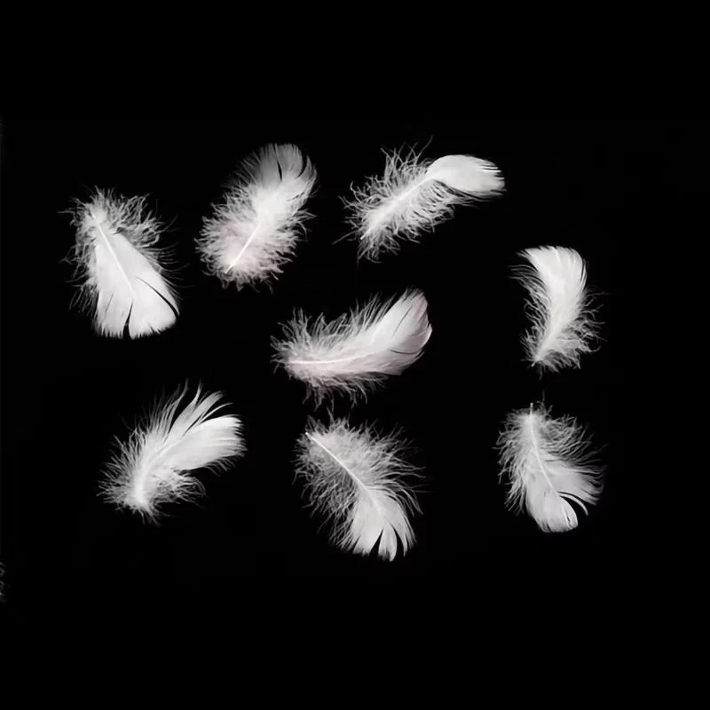 High-Quality Feathers and Down RDS Certificate Natural White 100% Washed Duck Feather 2-4cm for Pillow