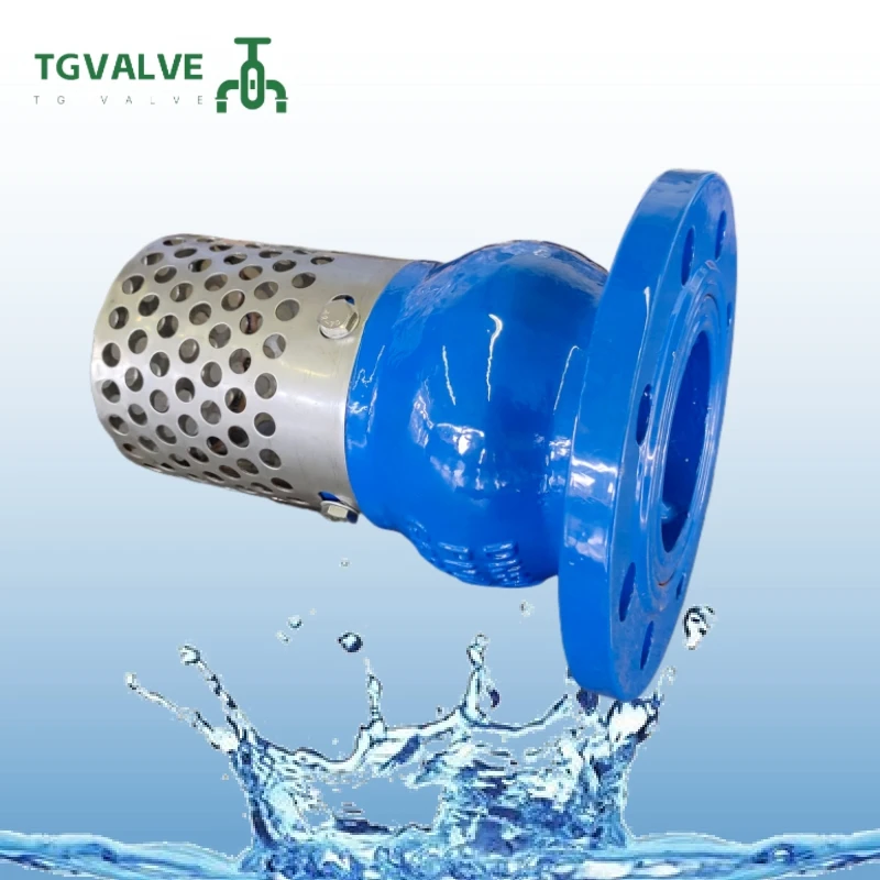 Bottom Premium Price Foot Valve Water With Strainer Ductile Cast Iron Foot Valve With Stainless Steel Strainer