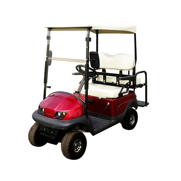 2 seat mini golf cart,kids golf scooter ,with rear cargo box or seat from Chinese factory