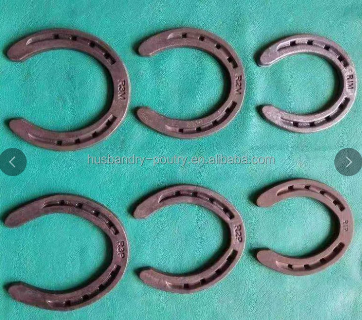 Horseshoe for Equestrian Horseshoes for Horses