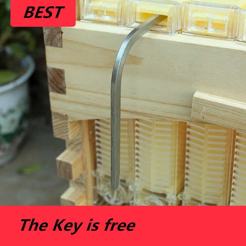 Beekeeping equipment apicultura Plastic beehive with honey outflow frames for beekeeping