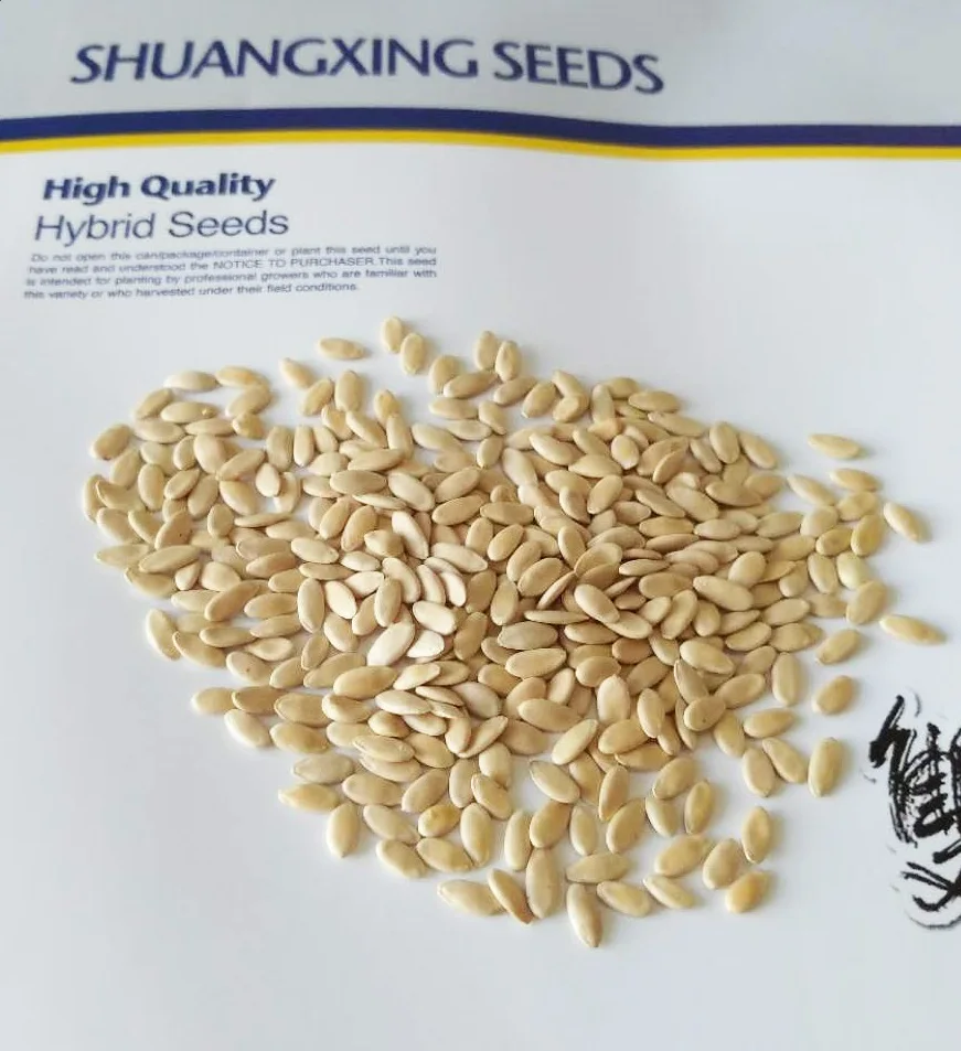 Sweet Girl 20 Chinese thin skin white hybrid melon seeds