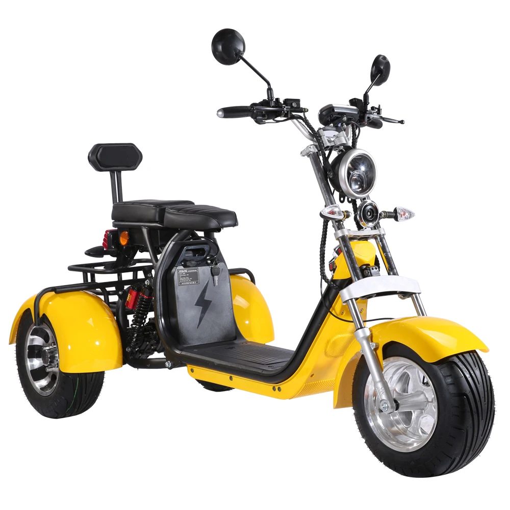EEC certified 10inch aluminium three  wheel electric scooter tricycle City Coco moto scooter citycoco tricicles