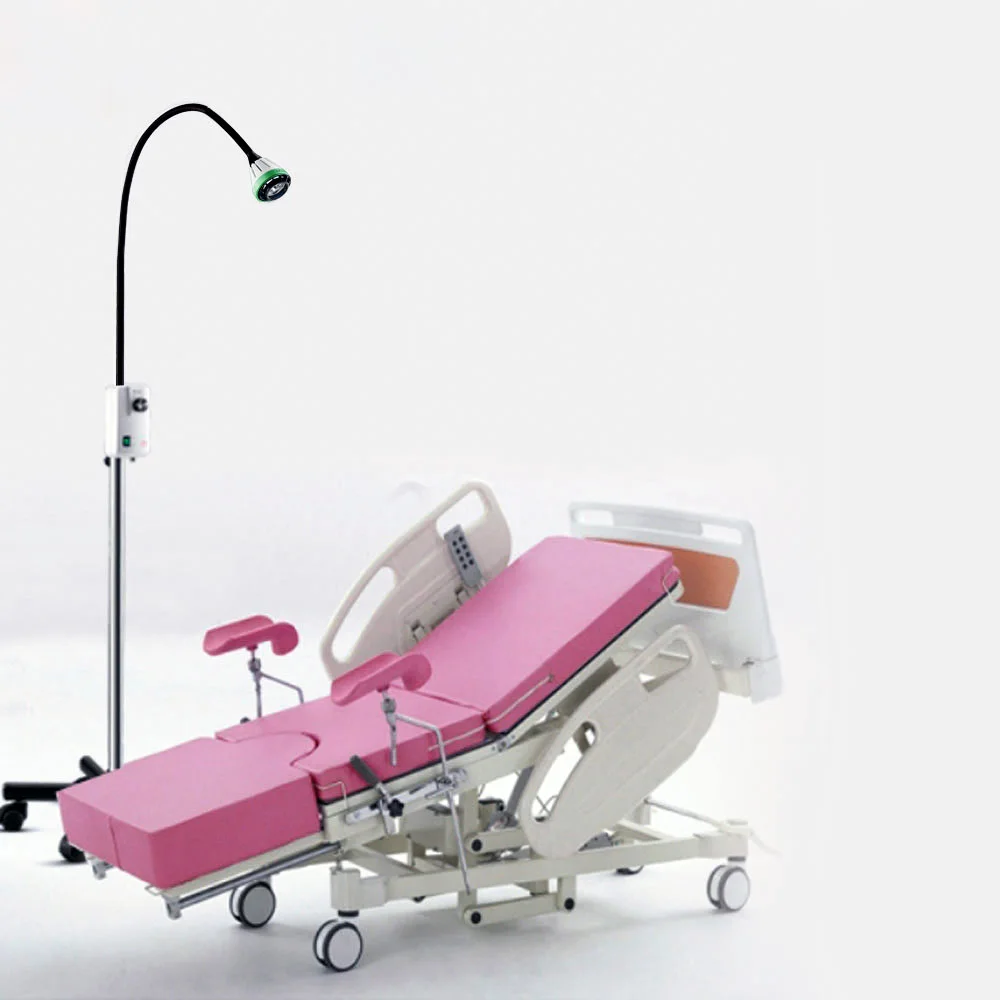 AMAIN OEM/ODM AM-2009W-1 Medical 9W LED Guide Type Brightness which is Adjustable Dental Pet Beauty Examination Light