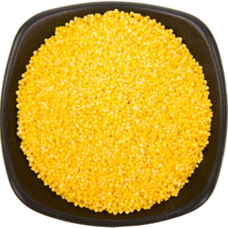 China best price Wholesale exporting grade millet seed yellow millet for sale