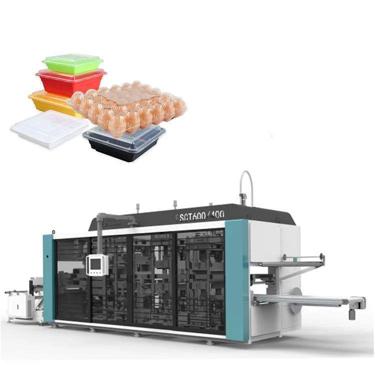 Plastic Bowl  Multi-Station Thermoforming Machine Plastic Food Container Making Machine