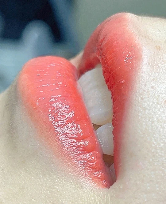 Famisoo Low Price  Private Label Eyebrow Lip Eyeliner Pmu pigments For Tattoo Machine Permanent Makeup Device Pigment