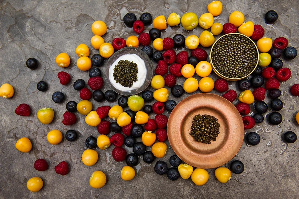 Wholesale sturgeon top grade fresh delicious caviar tins