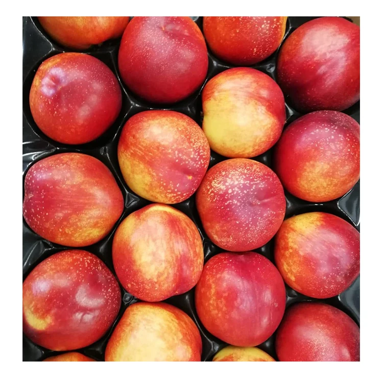 Italy Fresh Fruits White Pulp Nectarines White Fresh Nectarines