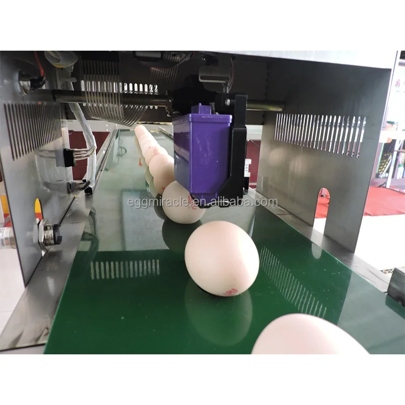 Edible Environmentally Friendly 6 head inkjet printer for egg