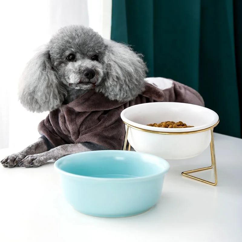 Travel Pet Feeder With Stainless Steel Stand Ceramics Cat Dog Bowl For Pet