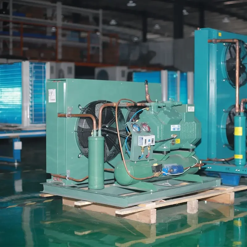 Single Phase Gas R404 Bitze Refrigeration Compressor 25hp 20hp 30hp 15hp 12hp 10hp Freezer Cold Room Industrial Condensing Unit