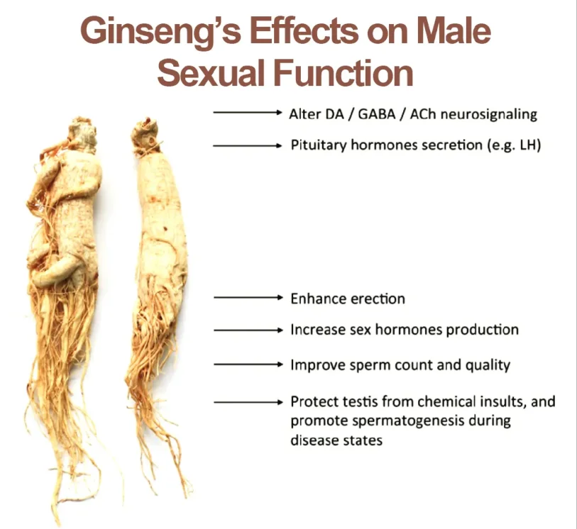 Органический корейский порошок корня женьшеня с максимальной силой, активные Гинзенозиды для поддержки энергии, иммунной системы, психического здоровья